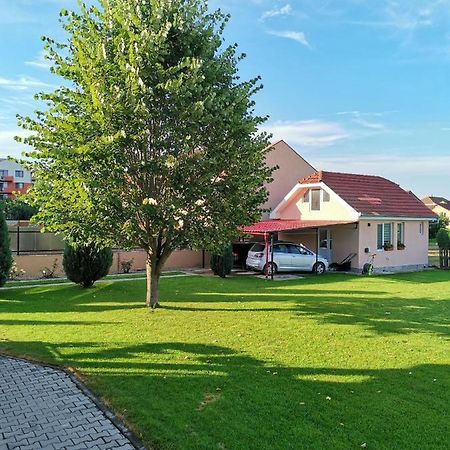 Villa Casuta Cu Tei à Oradea Extérieur photo